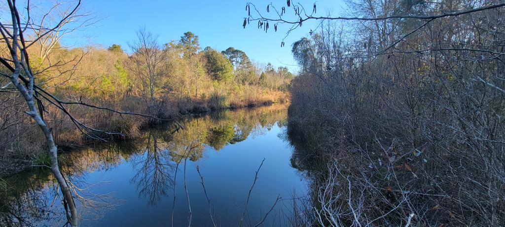 50.45 Acres Trawick Rd, Dothan, Alabama image 15