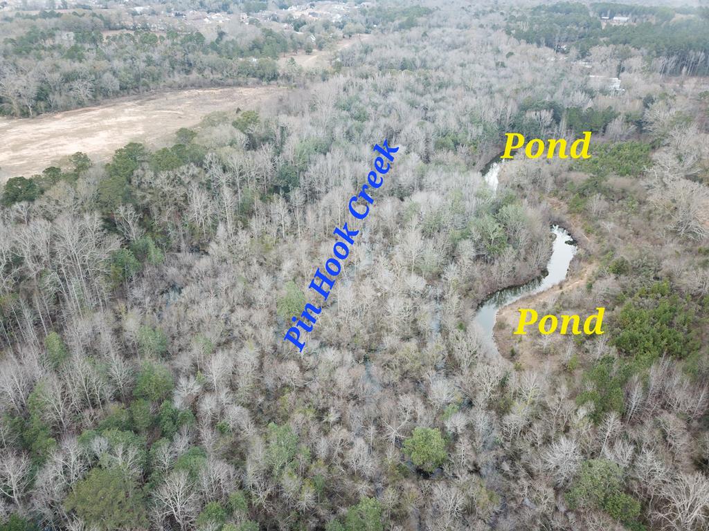 50.45 Acres Trawick Rd, Dothan, Alabama image 9