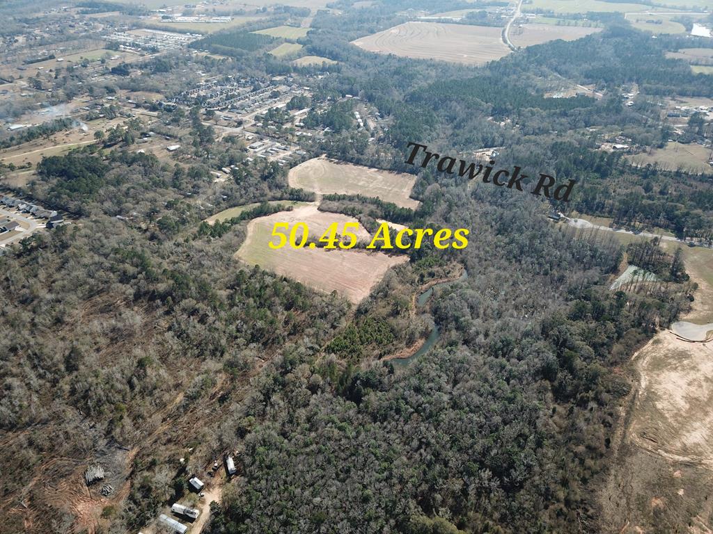 50.45 Acres Trawick Rd, Dothan, Alabama image 3