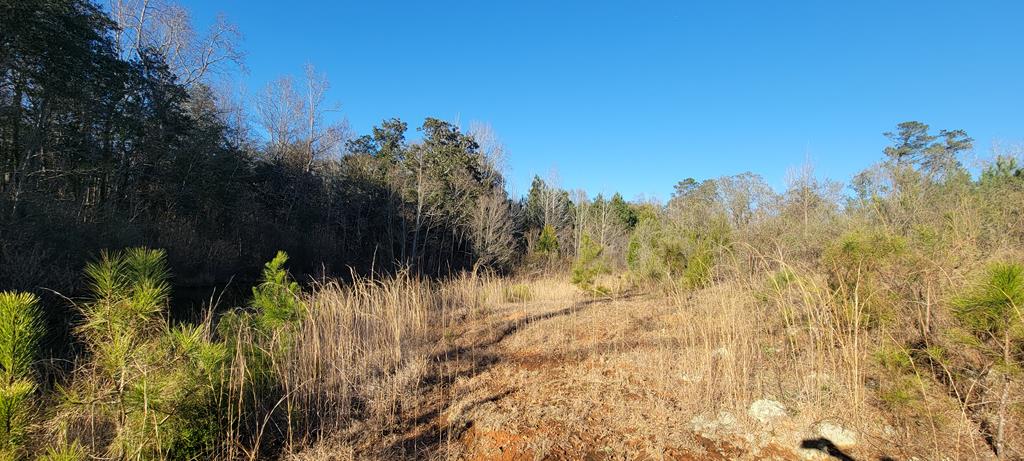 50.45 Acres Trawick Rd, Dothan, Alabama image 32