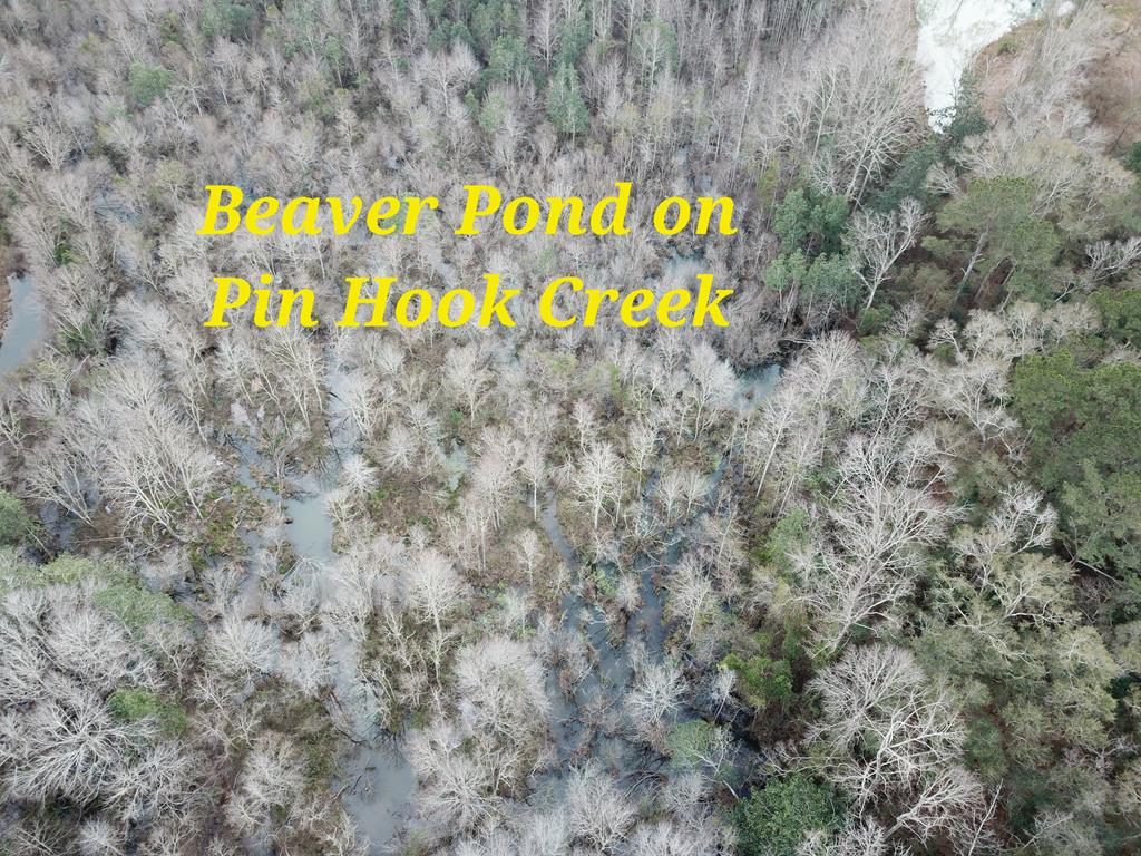 50.45 Acres Trawick Rd, Dothan, Alabama image 7