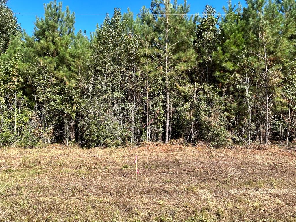 6.106+-ac Lot 10, Willie Varnum Rd, Cottonwood, Alabama image 7