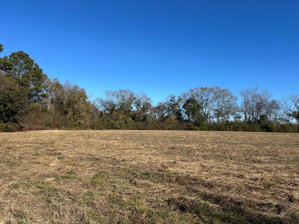 6.106+-ac Lot 10, Willie Varnum Rd, Cottonwood, Alabama image 11