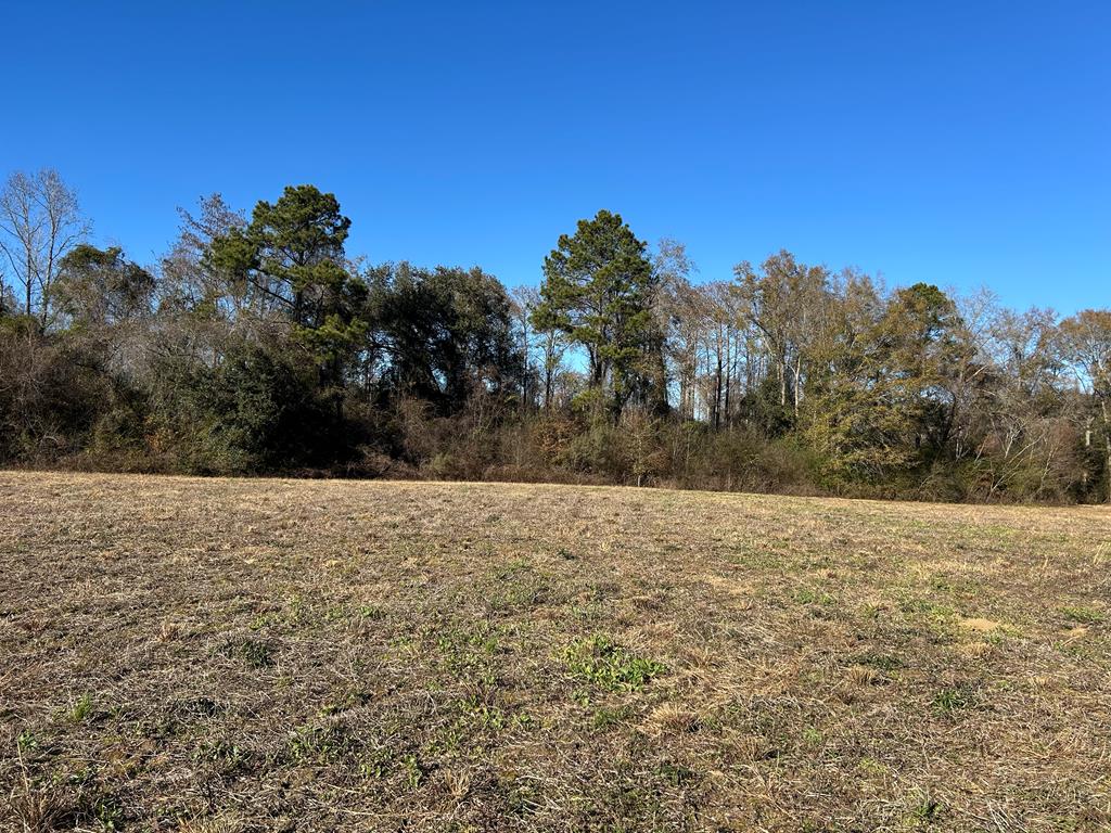 6.106+-ac Lot 10, Willie Varnum Rd, Cottonwood, Alabama image 12