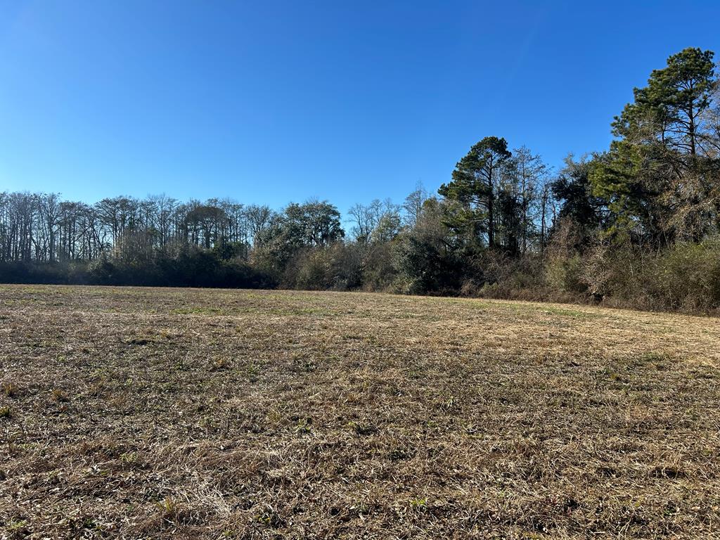 6.106+-ac Lot 10, Willie Varnum Rd, Cottonwood, Alabama image 13