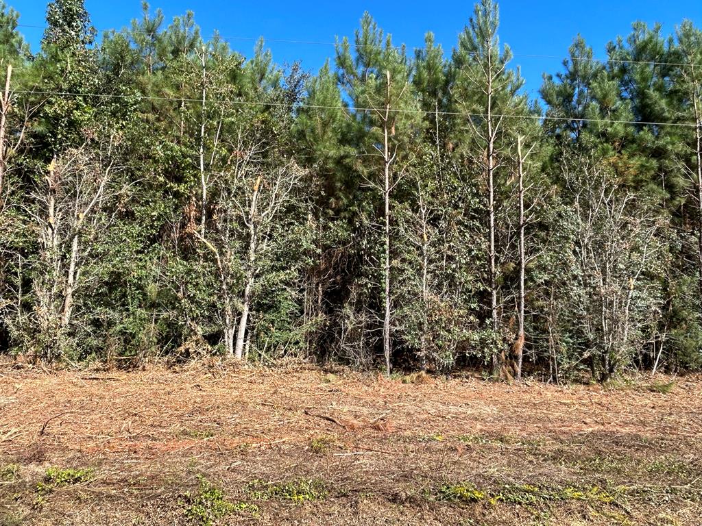 6.106+-ac Lot 10, Willie Varnum Rd, Cottonwood, Alabama image 10