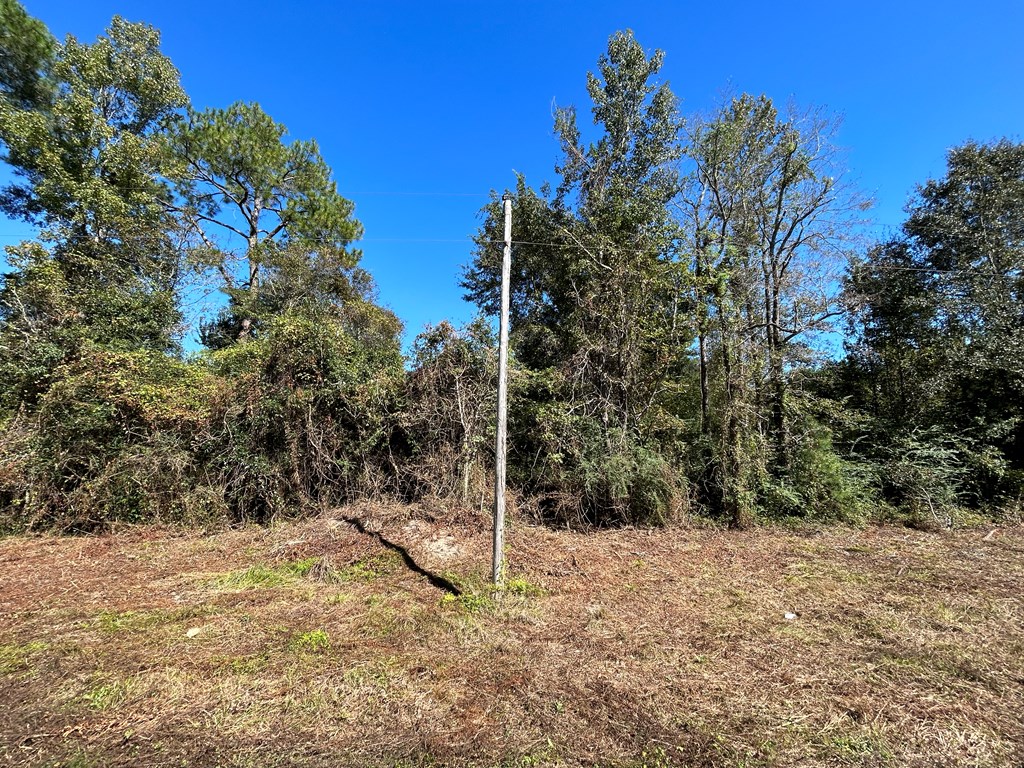 6.106+-ac Lot 10, Willie Varnum Rd, Cottonwood, Alabama image 8