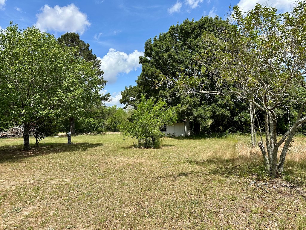 6537 E State Hwy 52, Hartford, Alabama image 15