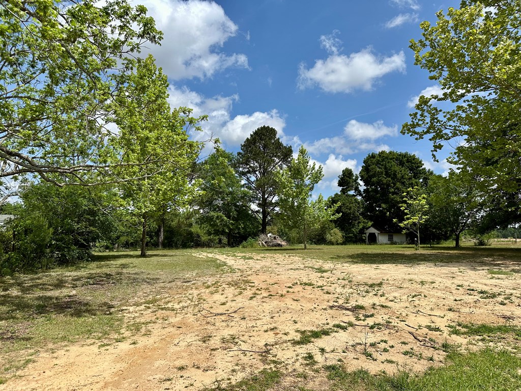 6537 E State Hwy 52, Hartford, Alabama image 39