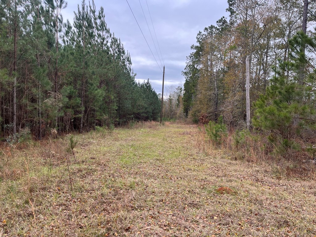TBD County Road 86 Way #UNIT 20, Abbeville, Alabama image 2