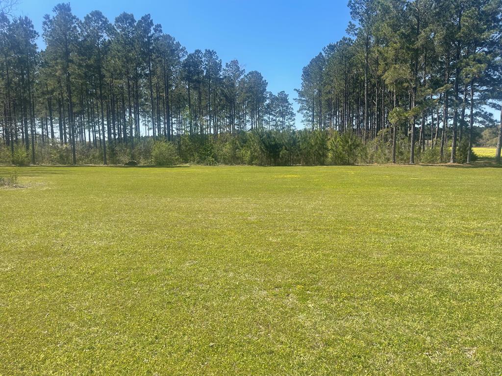 1st Ave Parcel 1 Drive #BUILDING 3, UNIT 12, WEEK, Ashford, Alabama image 1
