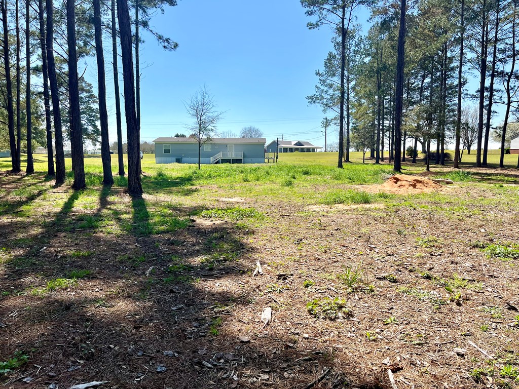 6108 Airport Rd, Hartford, Alabama image 16