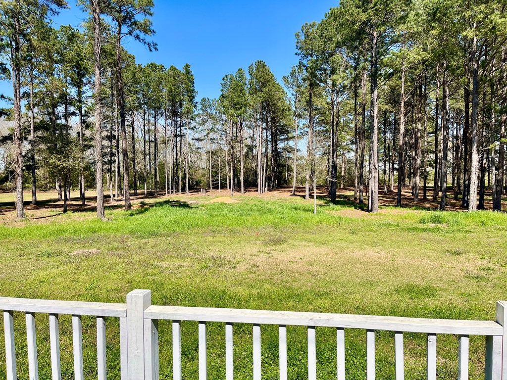 6108 Airport Rd, Hartford, Alabama image 15