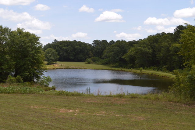 404 Turtleback Trail, Enterprise, Alabama image 22