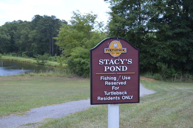 404 Turtleback Trail, Enterprise, Alabama image 20