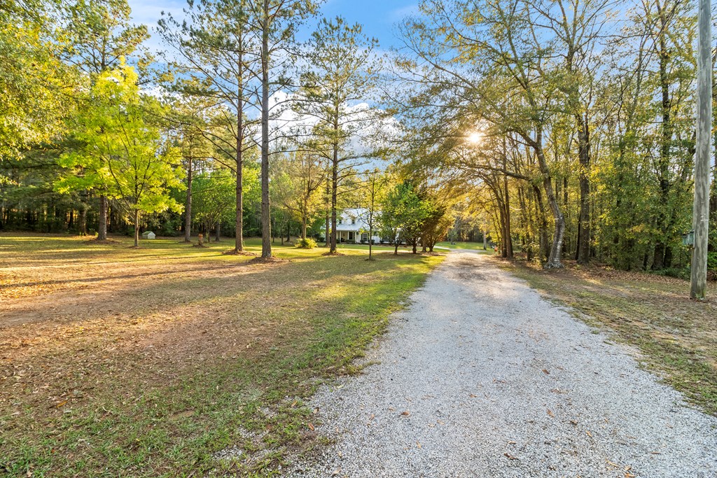 1051 N State Hwy 123, Newton, Alabama image 4