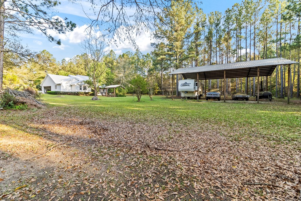 1051 N State Hwy 123, Newton, Alabama image 31