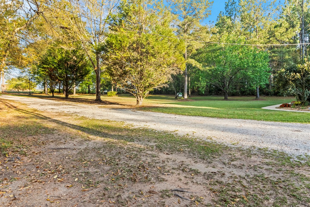 1051 N State Hwy 123, Newton, Alabama image 40