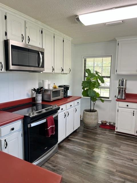 123 N Lindburg Rd #BUILD 13, UNIT, 64, WEEK , Ashford, Alabama image 12