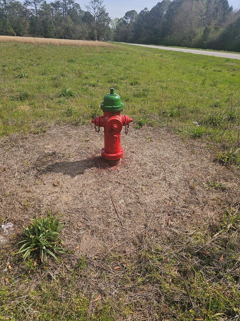 139 Clemmons Circles, Geneva, Alabama image 36