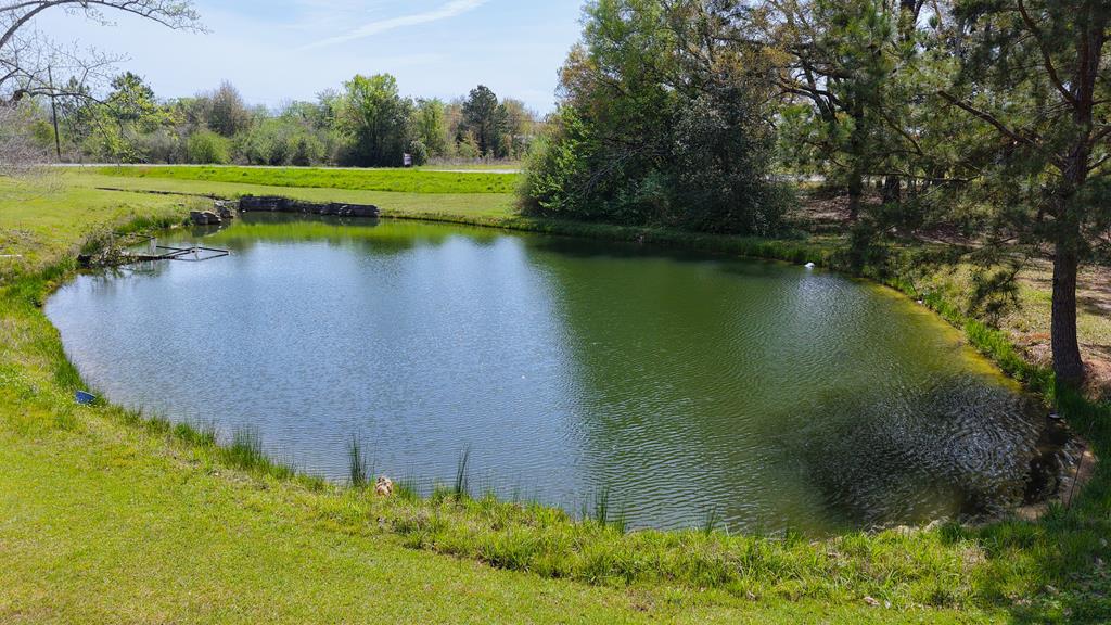 139 Clemmons Circles, Geneva, Alabama image 9