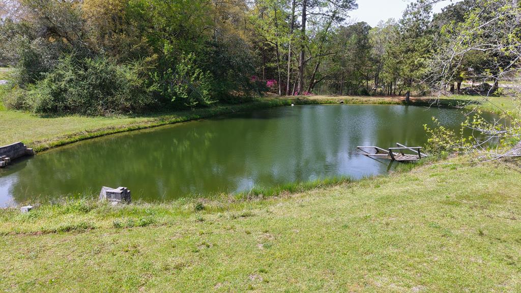 139 Clemmons Circles, Geneva, Alabama image 8