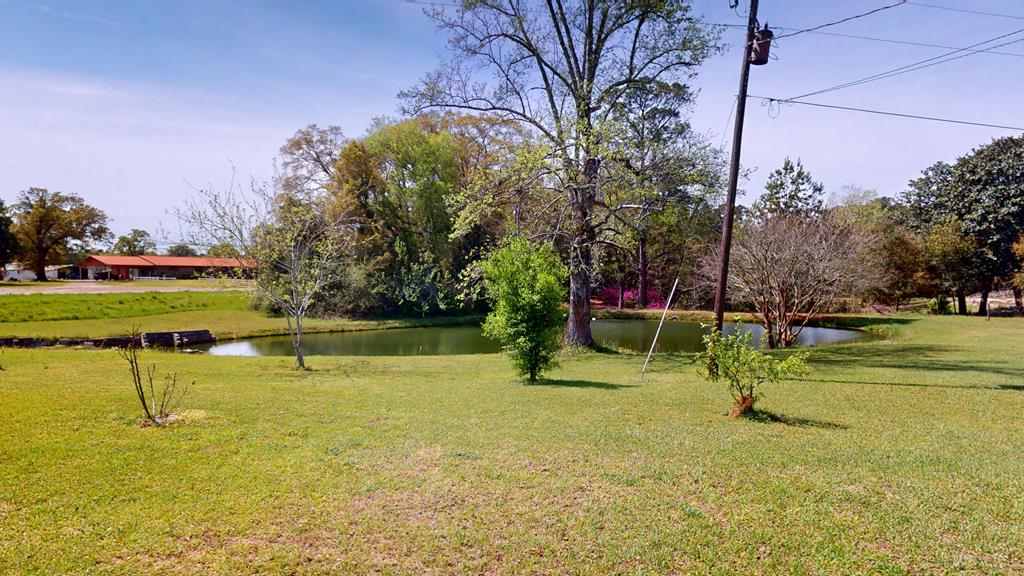 139 Clemmons Circles, Geneva, Alabama image 7