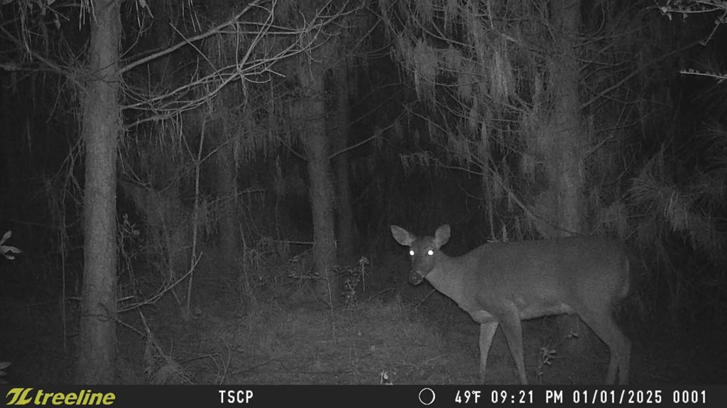 974 County Road 422, Opp, Alabama image 11