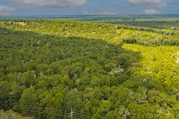 0 POWER DAM ROAD, NEWTON, AL 36352 - Image c99f2b91b2577a143208d54185dfef8a/3531107624