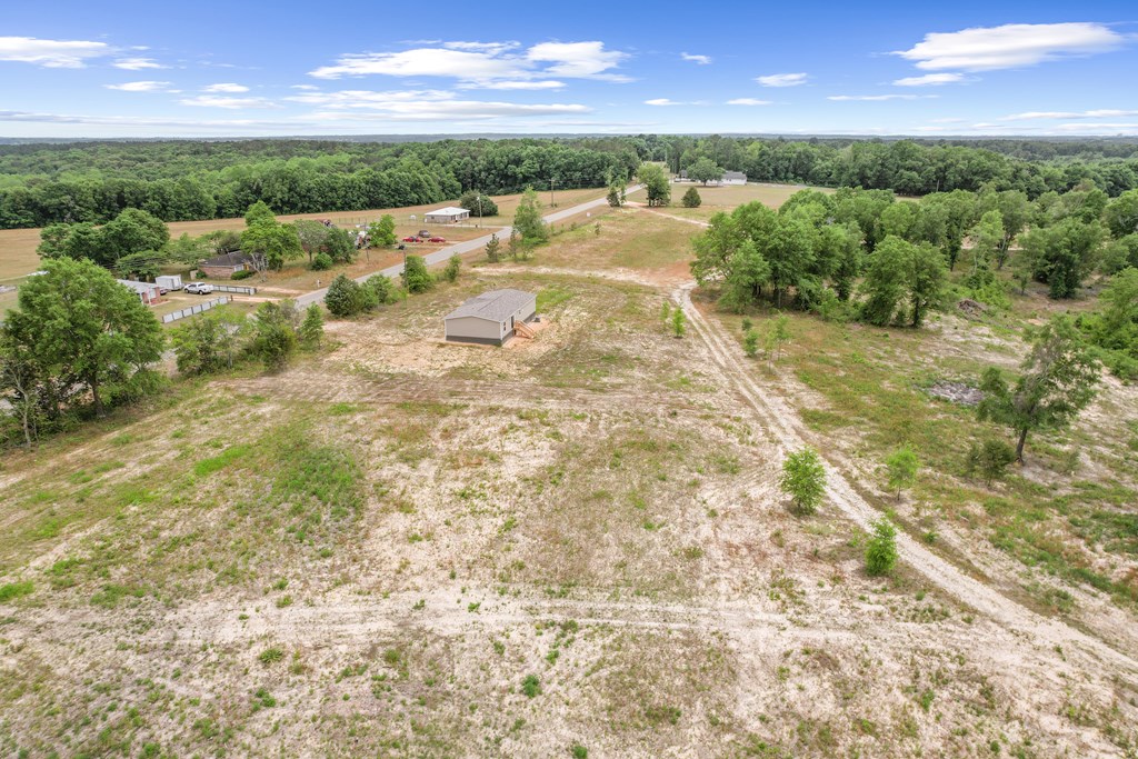 2374 S County Road 67, Midland City, Alabama image 4
