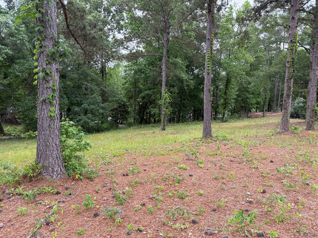 Powell Trace, Abbeville, Alabama image 2