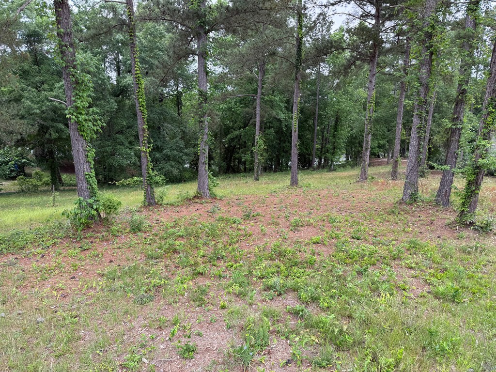 Powell Trace, Abbeville, Alabama image 3