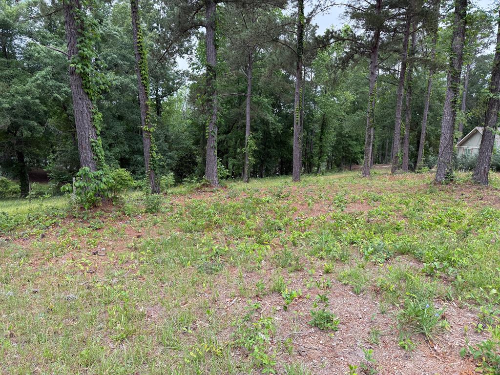 Powell Trace, Abbeville, Alabama image 1