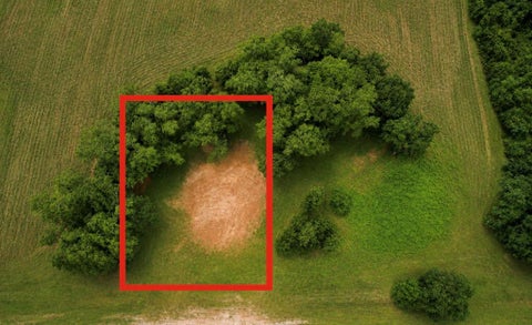 Vacant Land For Sale - County Rd. 165<br/> Henry County, Headland, AL 36345