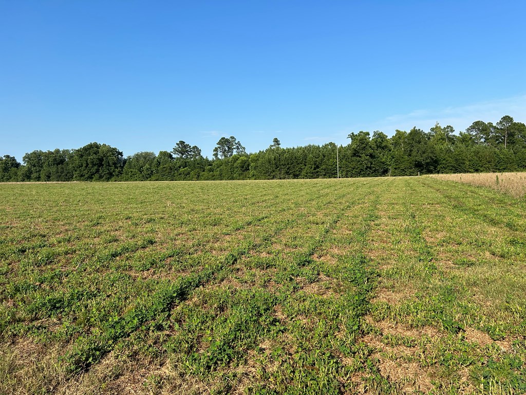 7.198+-ac Lot 6, Willie Varnum Rd, Cottonwood, Alabama image 18