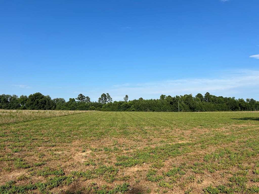 7.198+-ac Lot 6, Willie Varnum Rd, Cottonwood, Alabama image 17