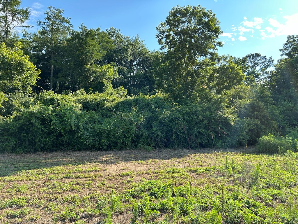 7.198+-ac Lot 6, Willie Varnum Rd, Cottonwood, Alabama image 16