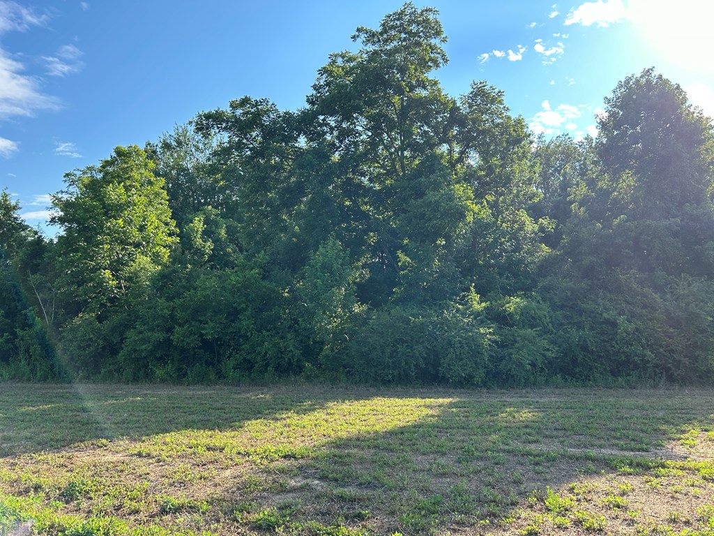 7.198+-ac Lot 6, Willie Varnum Rd, Cottonwood, Alabama image 14