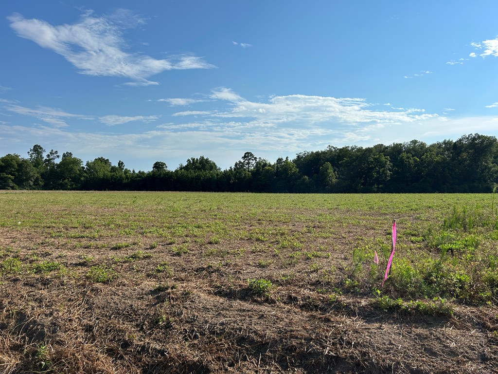 7.198+-ac Lot 6, Willie Varnum Rd, Cottonwood, Alabama image 12