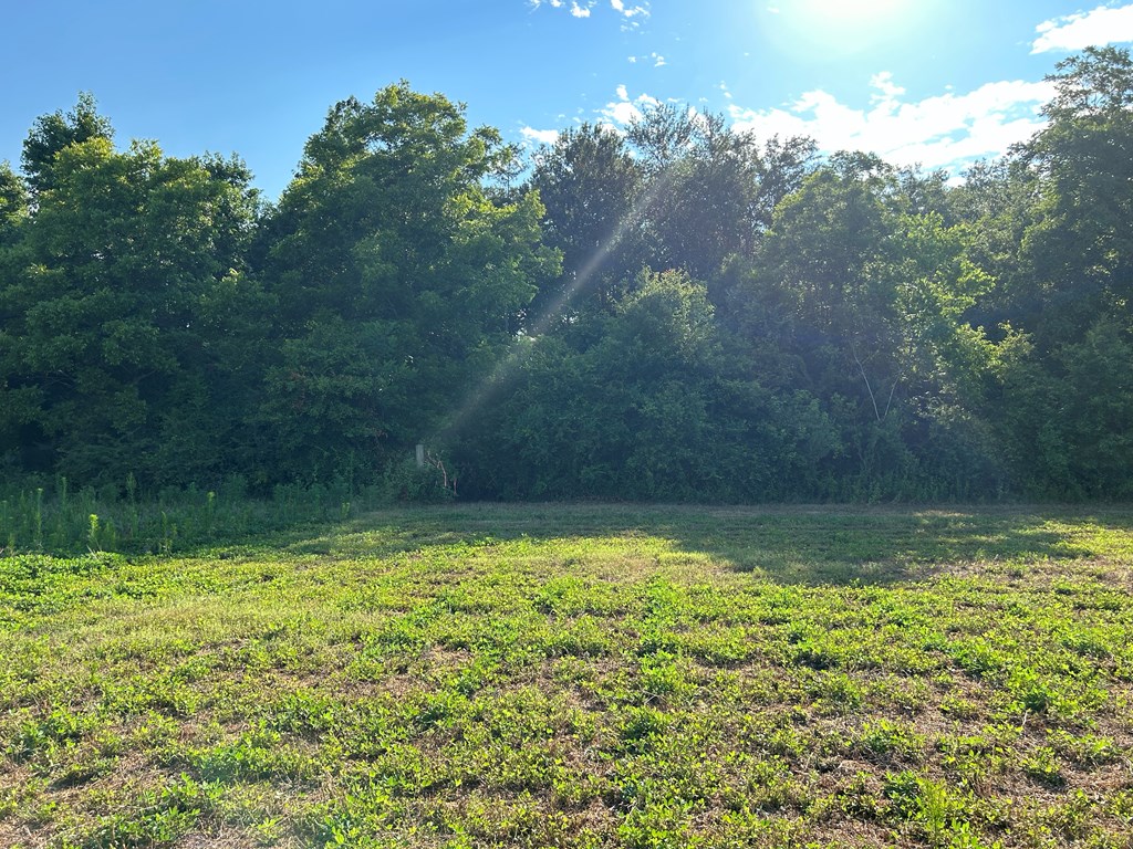 7.198+-ac Lot 6, Willie Varnum Rd, Cottonwood, Alabama image 13