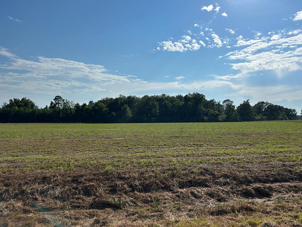 7.198+-ac Lot 6, Willie Varnum Rd, Cottonwood, Alabama image 1