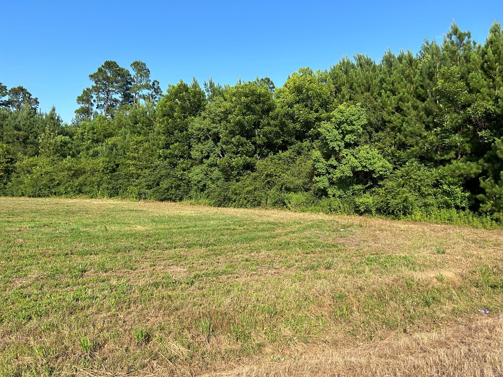 7.198+-ac Lot 6, Willie Varnum Rd, Cottonwood, Alabama image 20