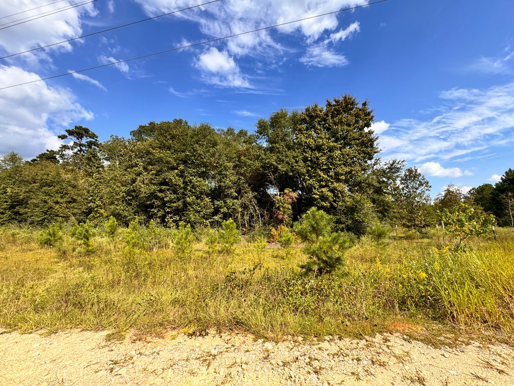 Hwy 123 & Co Rd 30, Newton, Alabama image 3