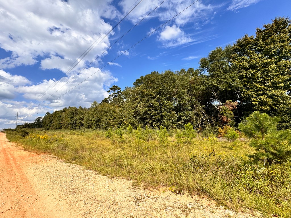 Hwy 123 & Co Rd 30, Newton, Alabama image 2