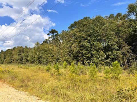 Vacant Land For Sale - Hwy 123 & Co Rd 30<br/> Newton, AL 36352