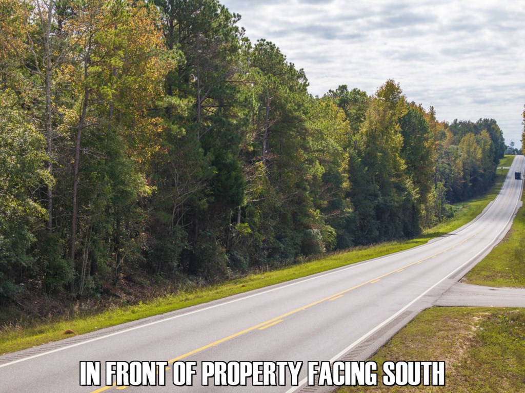 Western Bypass, Clayton, Alabama image 2