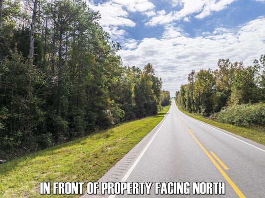 0 WESTERN BYPASS, CLAYTON, AL 36016 - Image cdc3ce1431069f309f8550748a5eb18d/3458616725