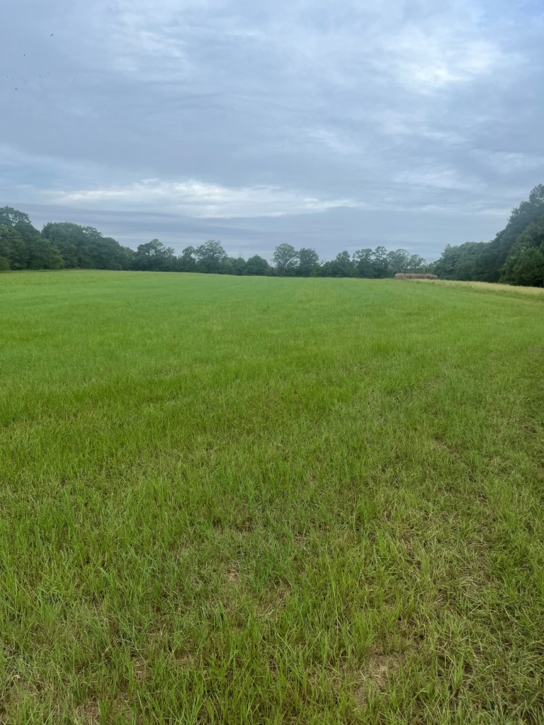 Emory Boyd Circle, Clayton, Alabama image 8