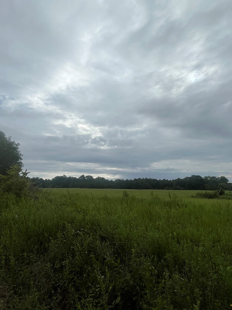 Emory Boyd Circle, Clayton, Alabama image 6