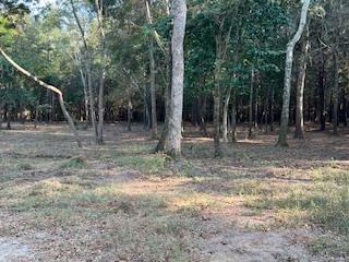 Dothan, Alabama 36303, United States, ,Land,Active,32743